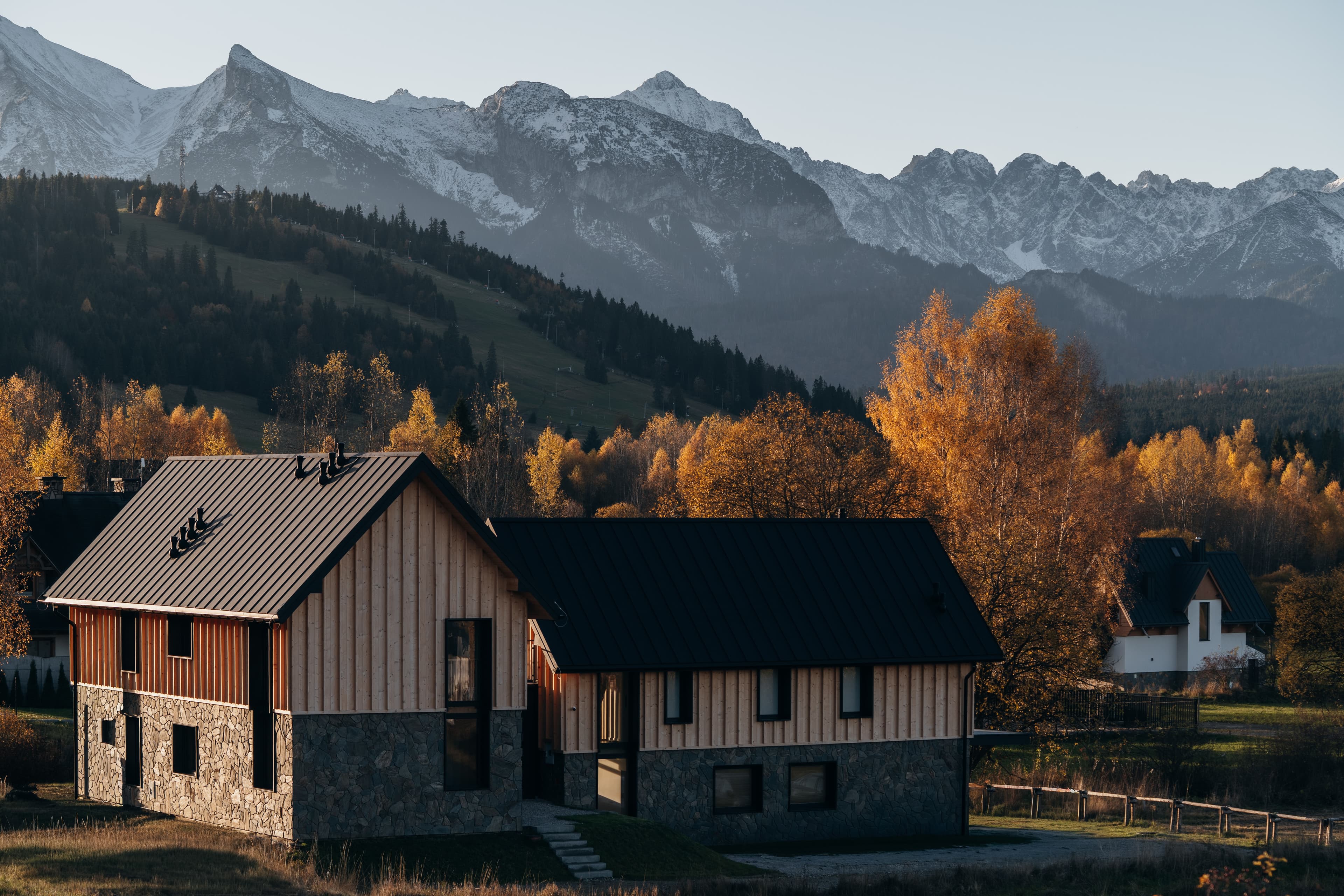 Wilcza Villa Background