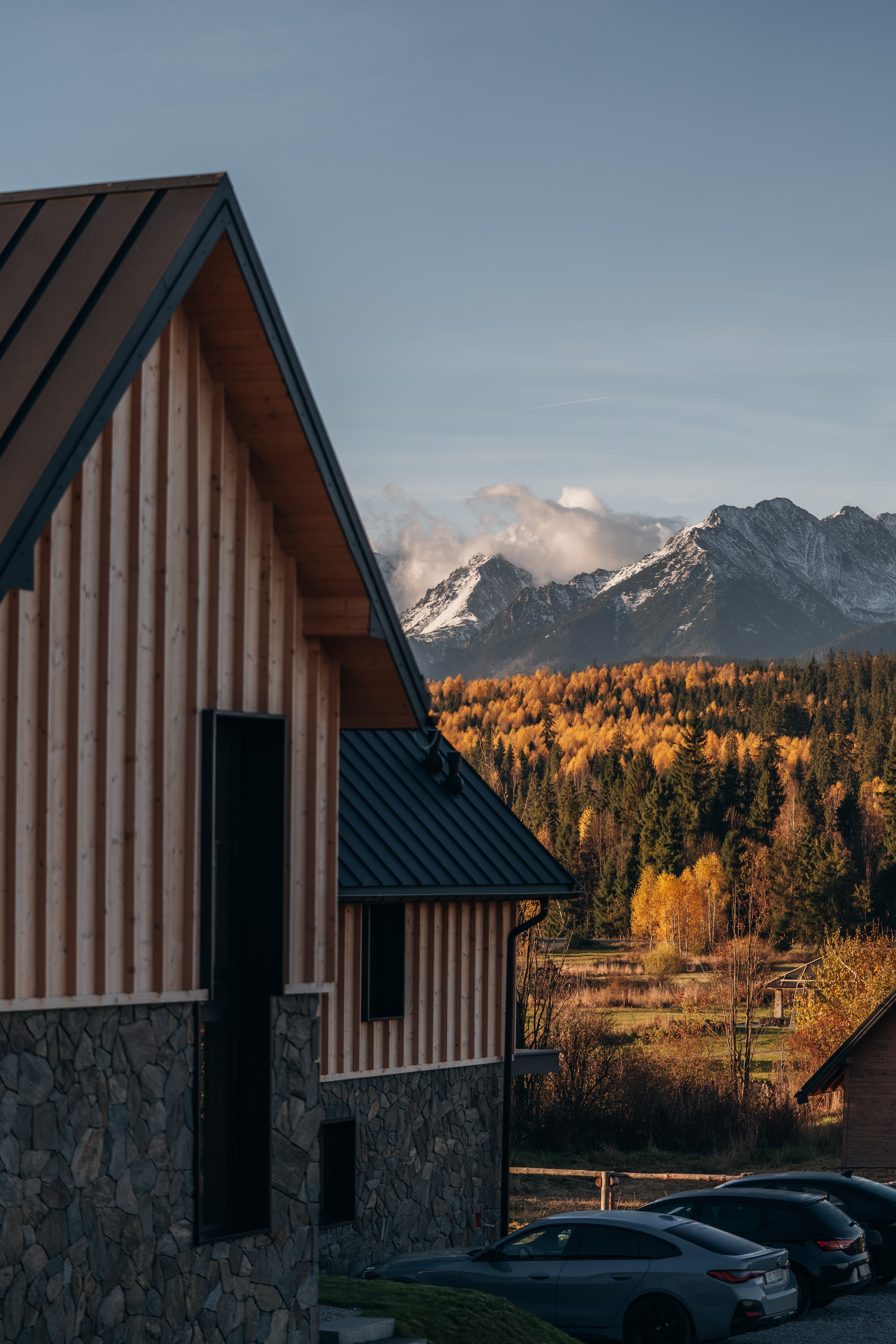 Wilcza Villa Background